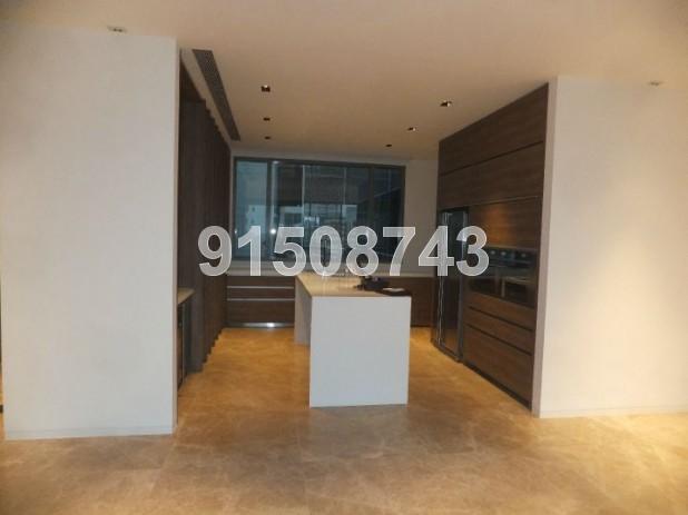 Leedon Residence (D10), Condominium #81845032
